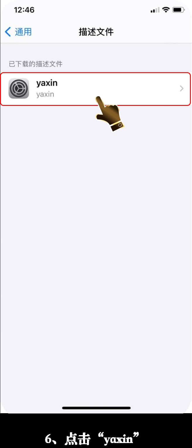 亚星iOS应用安装流程示意图6